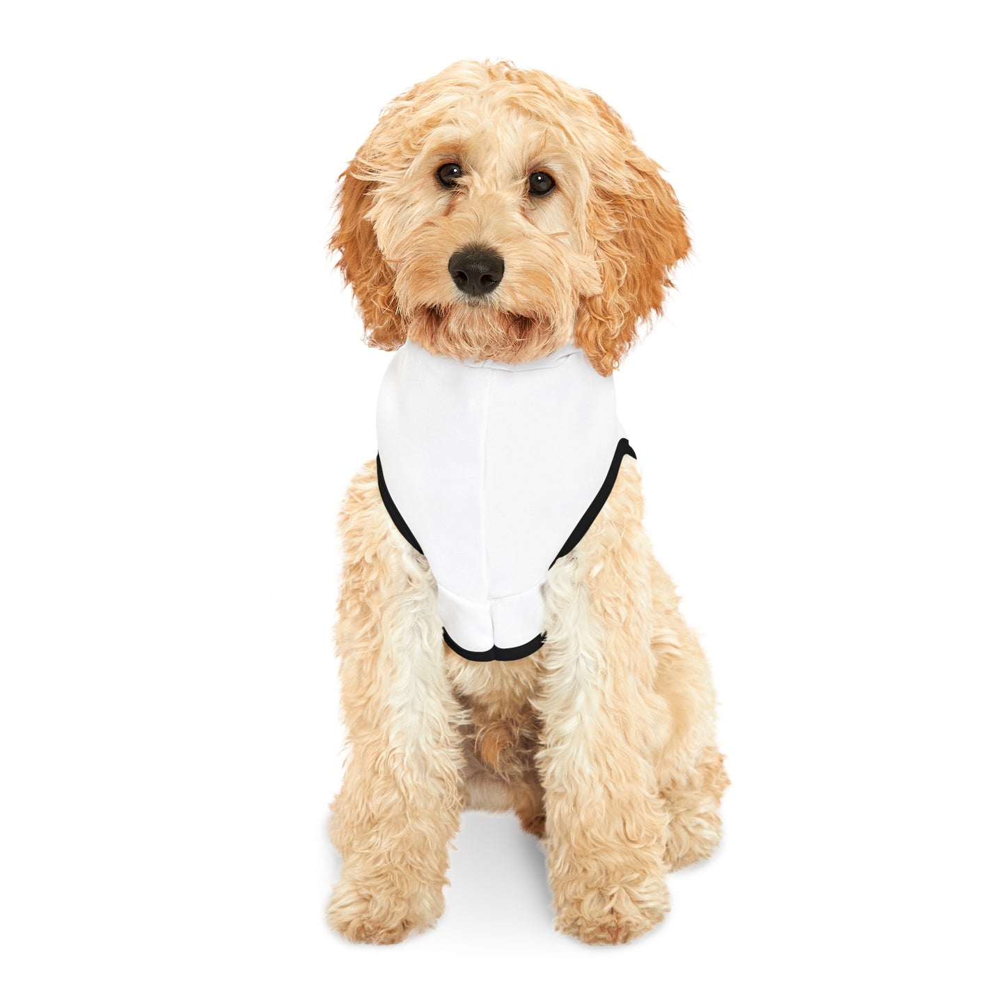 Personalized Dog Clothes